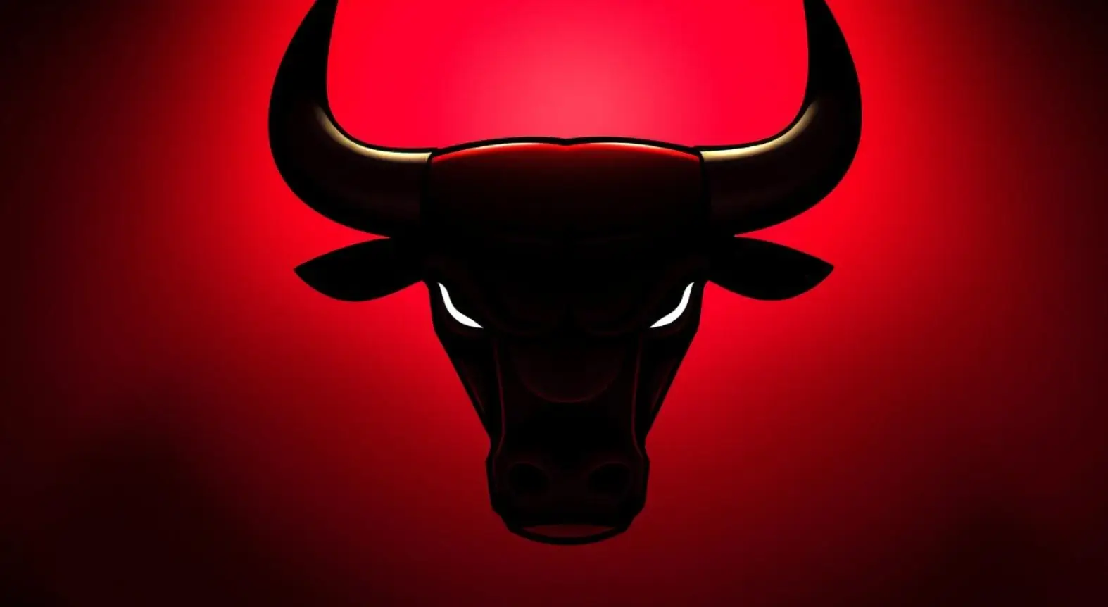 chicago bulls logo